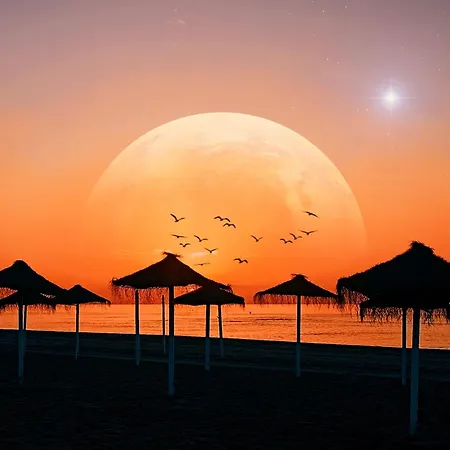 Ubicacion Y Confort En El Centro De - Ricardo Soriano 33 38 Appartement *