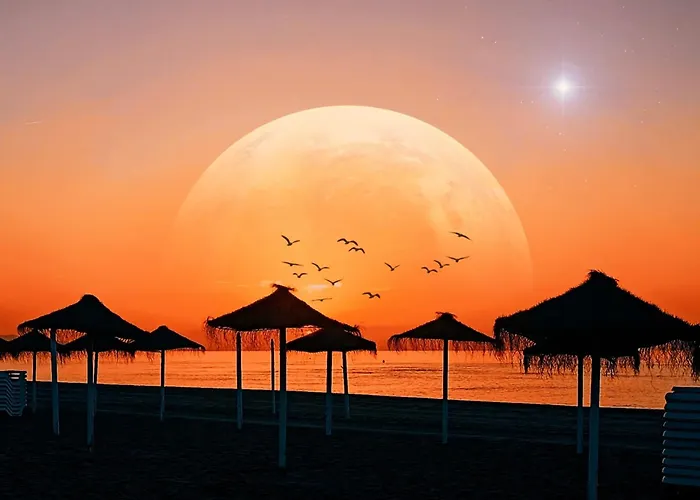 Ubicación Y Confort En El Centro De - Ricardo Soriano 33 38 Apartamento *